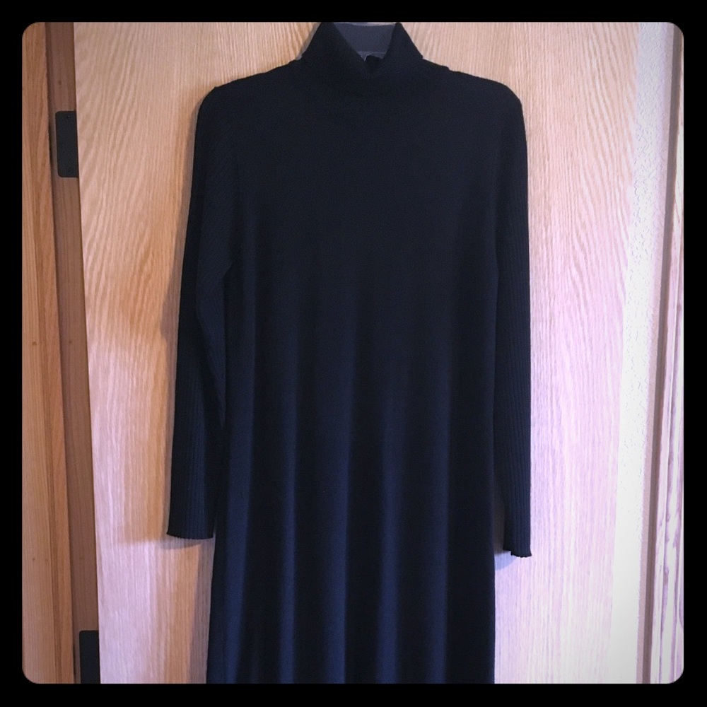 Dialogue Black Knit Turtleneck Dress